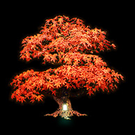Avatar for firemaplegames